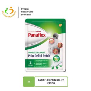 Panaflex Pain Relief Patch 2S